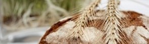 Erste Slow Food Produkte aus Österreich 'Qualität, Geschmack