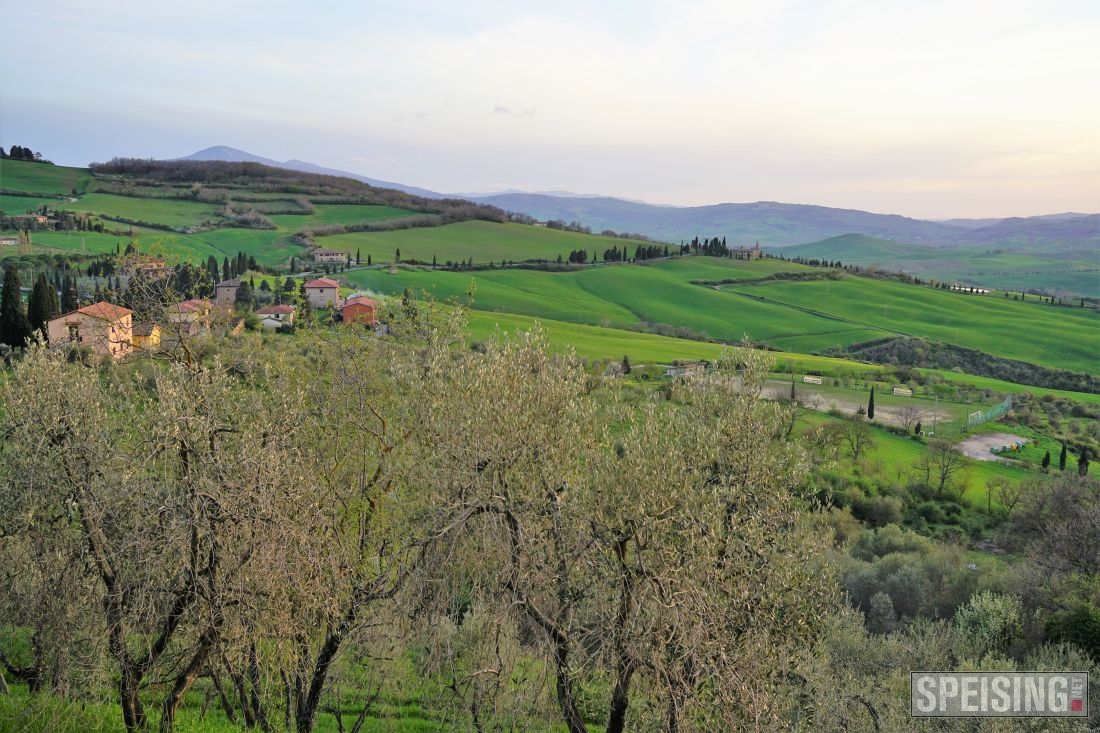 Osteria La Porta (Monticchiello)