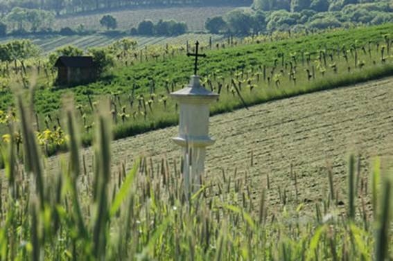 Nussberger Riedenwanderung 2010