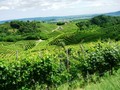 strada del prosecco