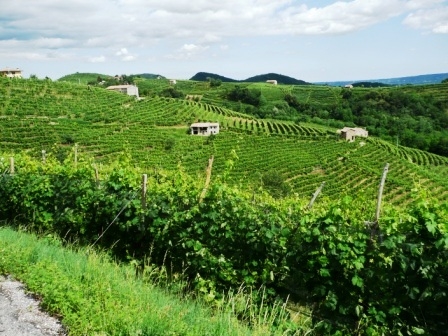 strada del prosecco