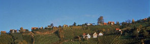 Südsteiermark: Radeln in den besten Lagen