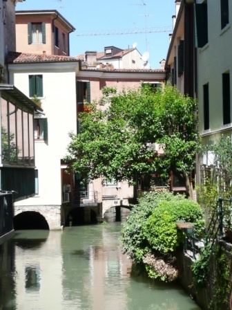 treviso