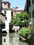 treviso