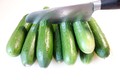 Gurkensalat