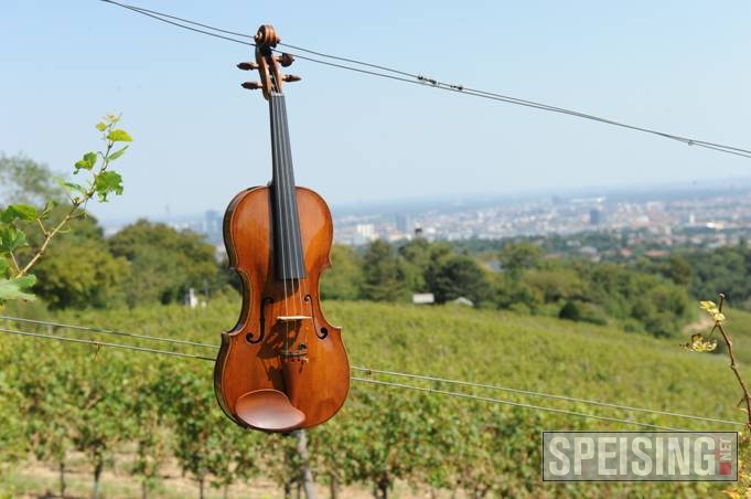 Schrammeln im Weingarten